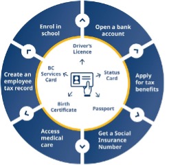 A diagram shows types of identification (Driver's licence, BC Services Card, Status card, Birth certificate, Passport) and services they're used for (Enrol in school, Open a bank account, Create an employee tax record, Apply for tax benefits, Access medical care, Get a Social Insurance Number)